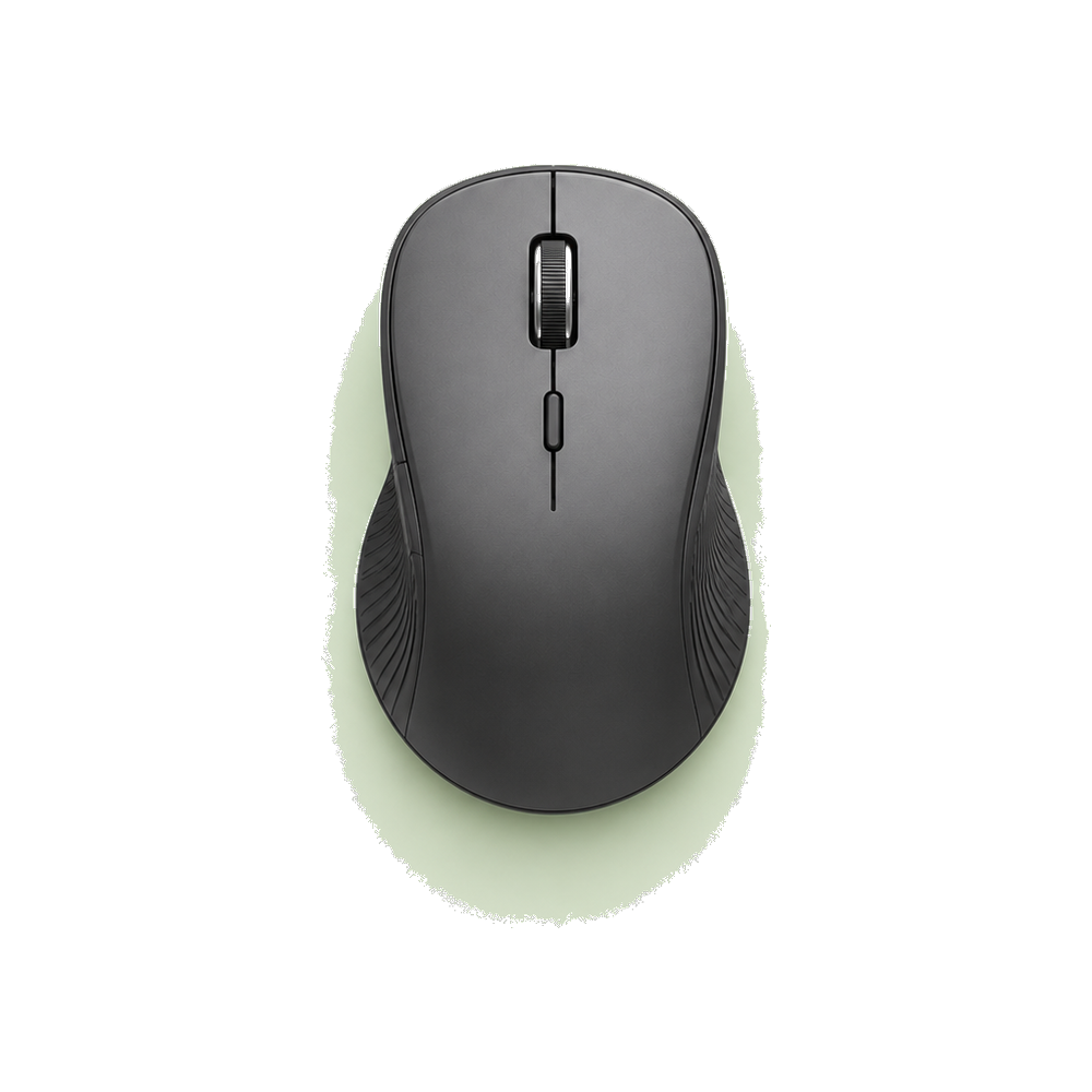 Computer Accessories